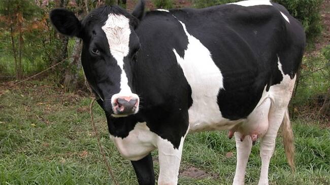 Imagen de referencia. Foto: Colprensa