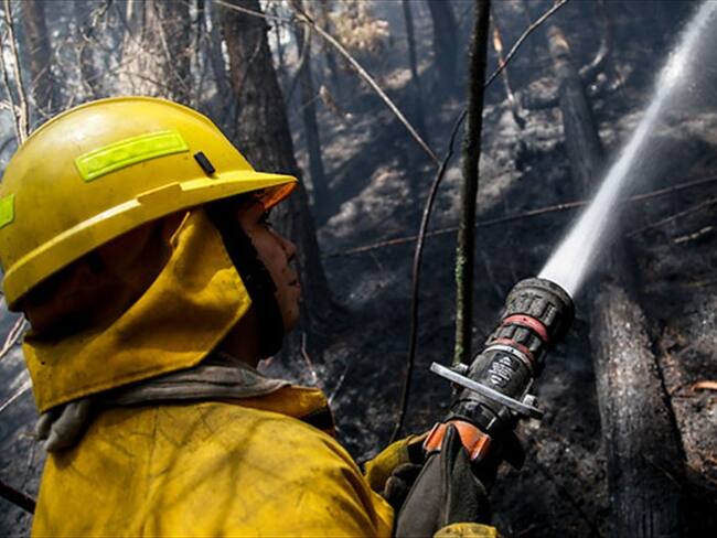 Imagen de referencia. Foto: Colprensa