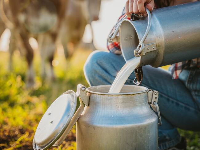Esperamos no ser los negociados en la COP16: llamado de manifestante campesino al Gobierno