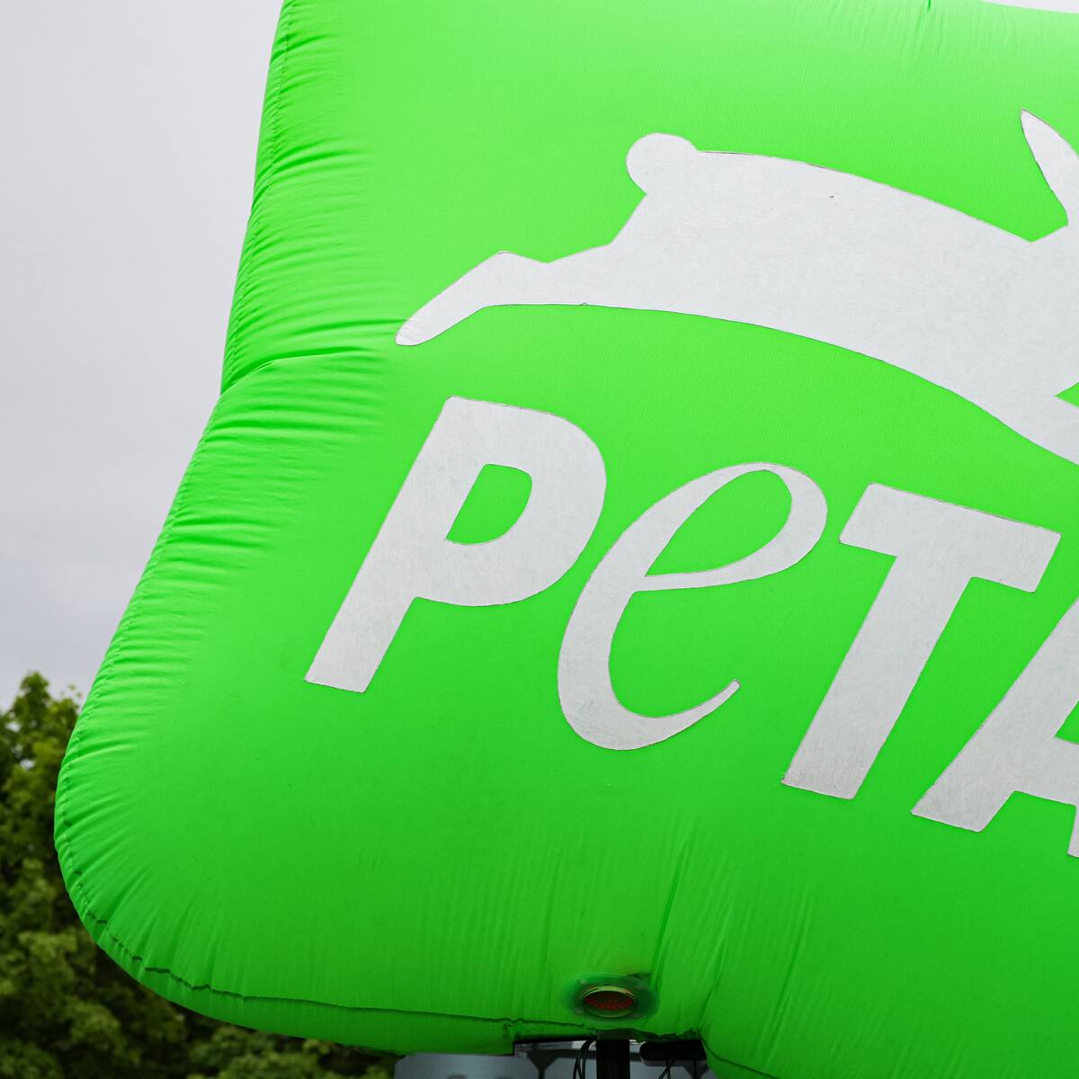 Caso Nancy González: PETA pide frenar la comercialización con pieles de animales