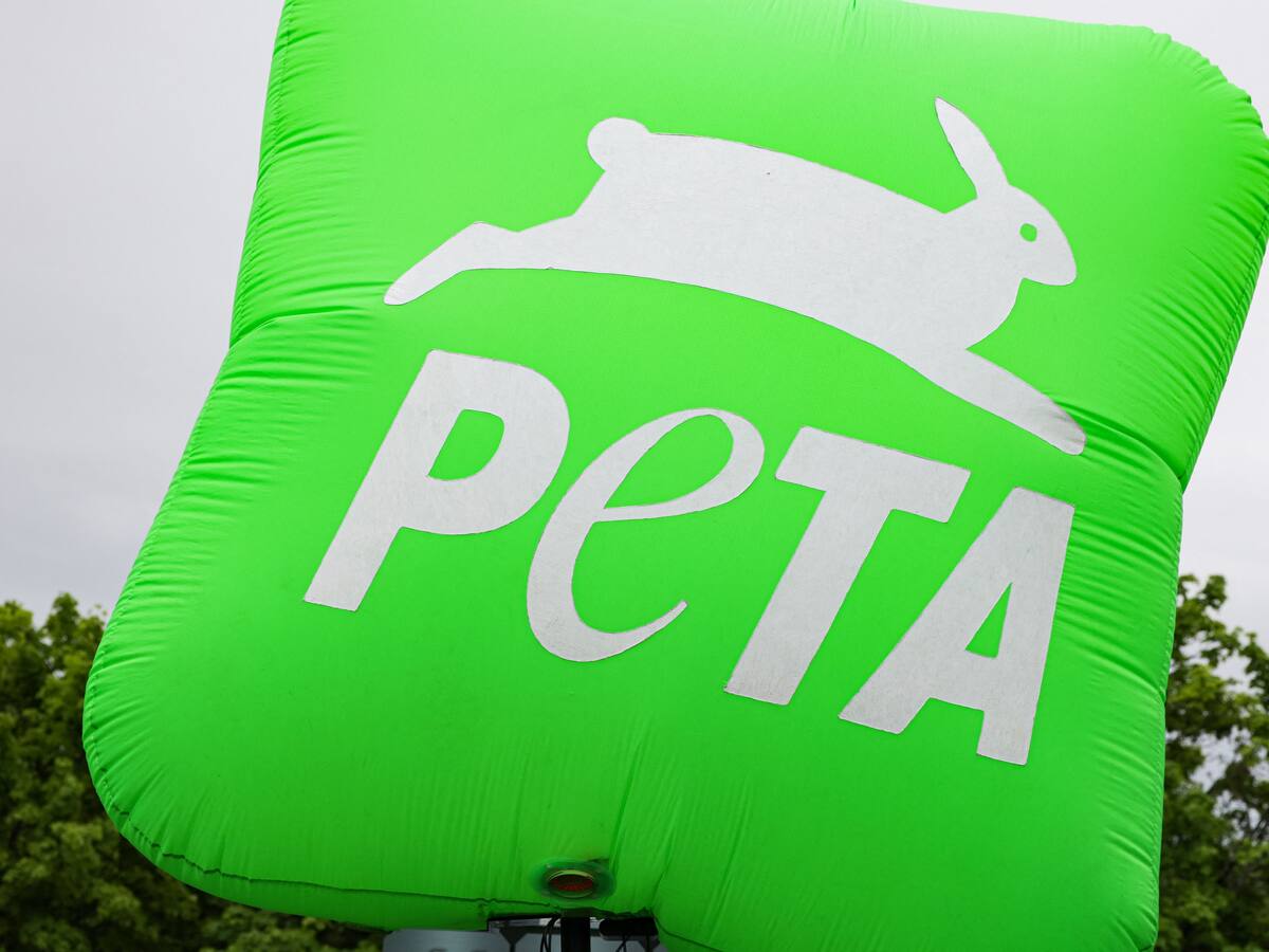 Caso Nancy González: PETA pide frenar la comercialización con pieles de animales