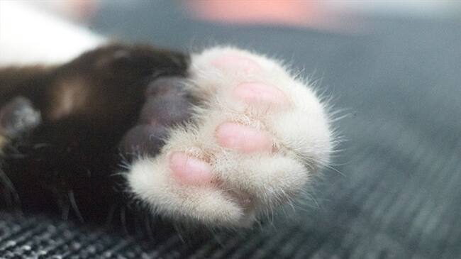 Imagen de referencia. Foto: Getty Images