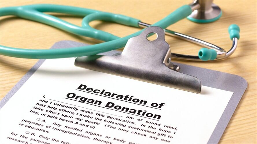 ¿Cuál es el proceso para ser donante de órganos en Colombia?. Foto: Getty Images