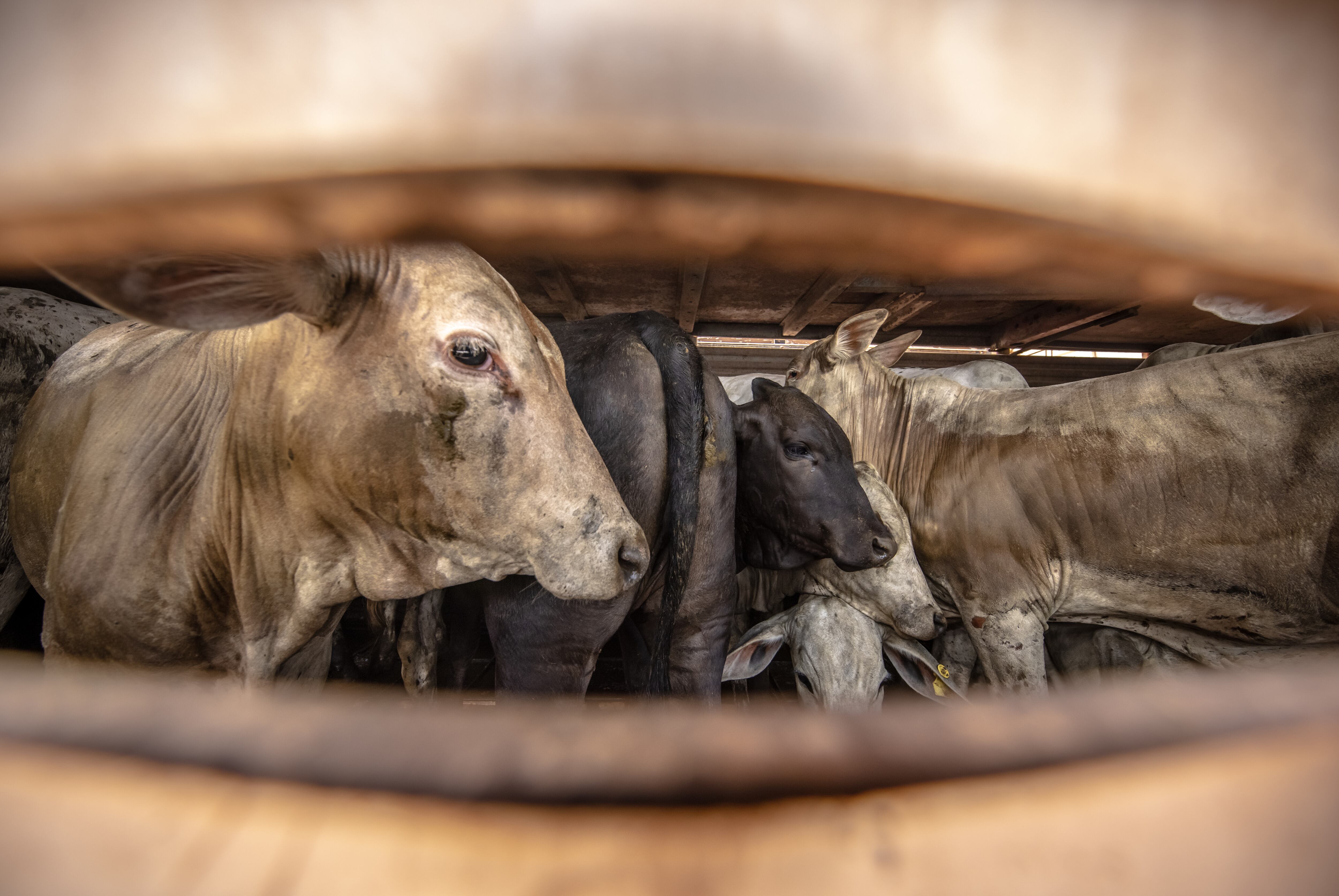 Imagen de referencia via Getty Images.