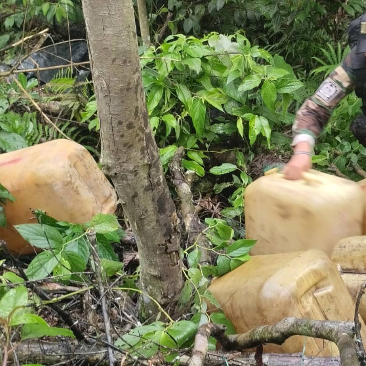 Autoridades encontraron laboratorios de droga en la frontera de Colombia con Perú