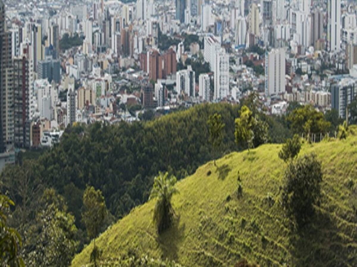 La polémica en Bucaramanga por la intervención en los Cerros Orientales