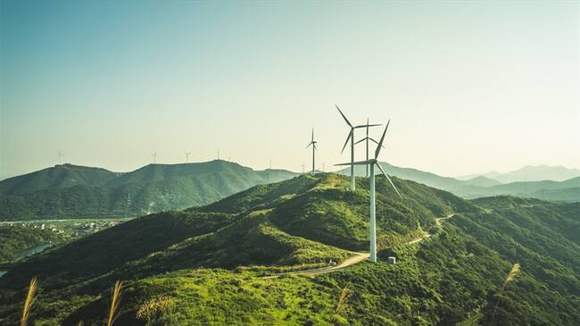 La Asociación recordó los grandes beneficios que traerá esta subasta para el medio ambiente de Colombia. Foto: Getty Images