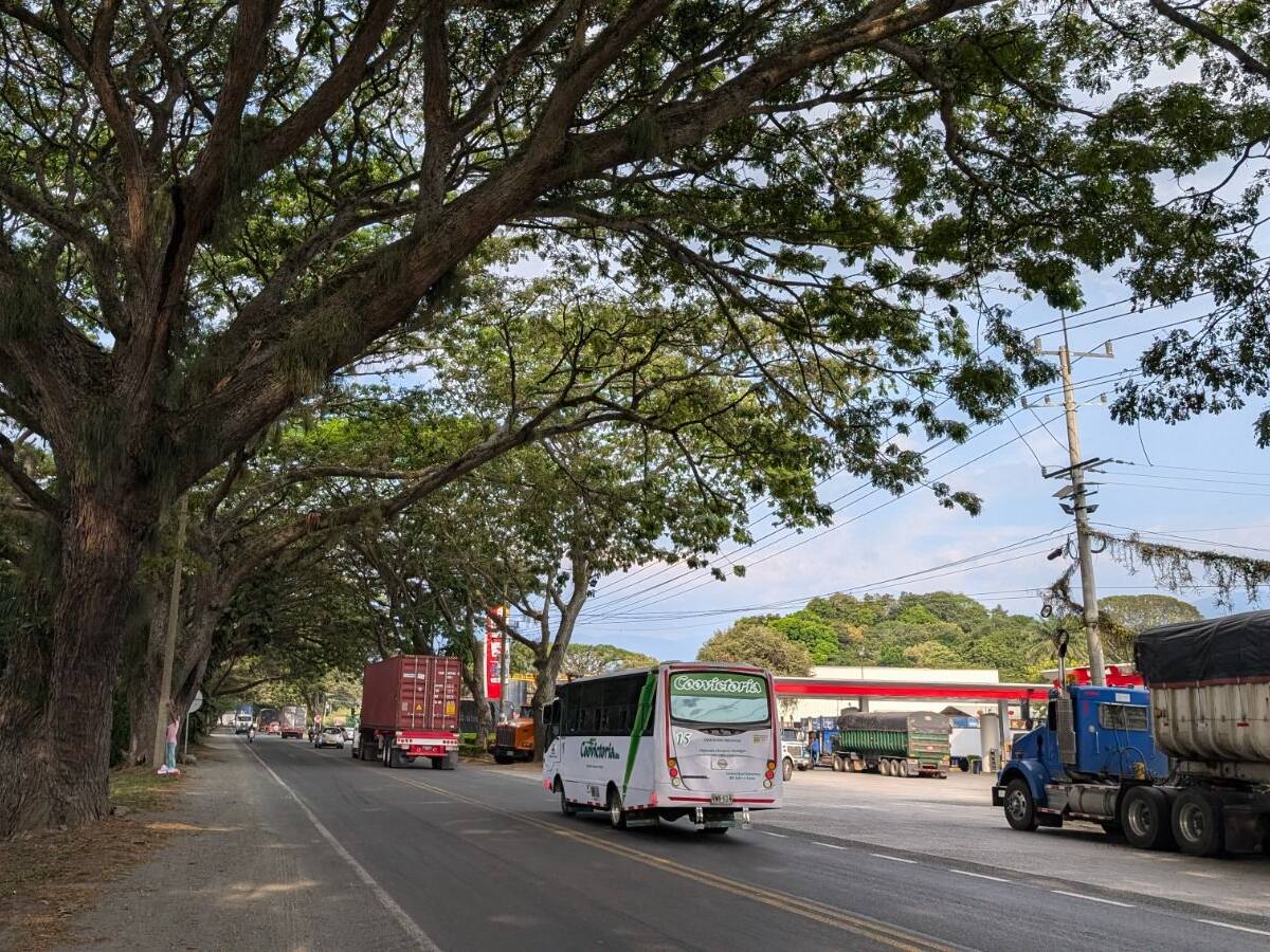 CVC niega permiso a proyecto vial por impacto ambiental en el ‘Túnel Verde’