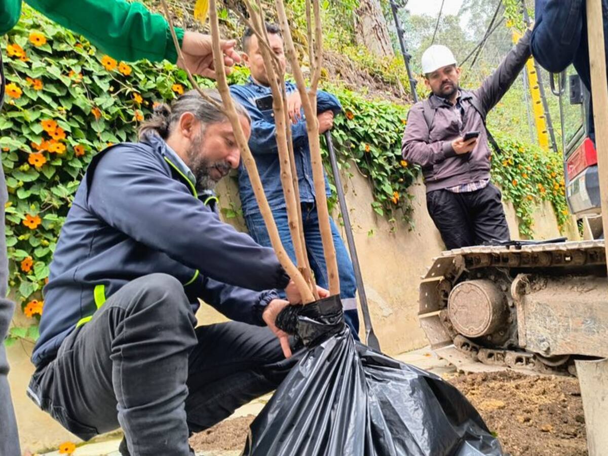 Demolición de construcción ilegal en reserva forestal avanza después de casi dos décadas