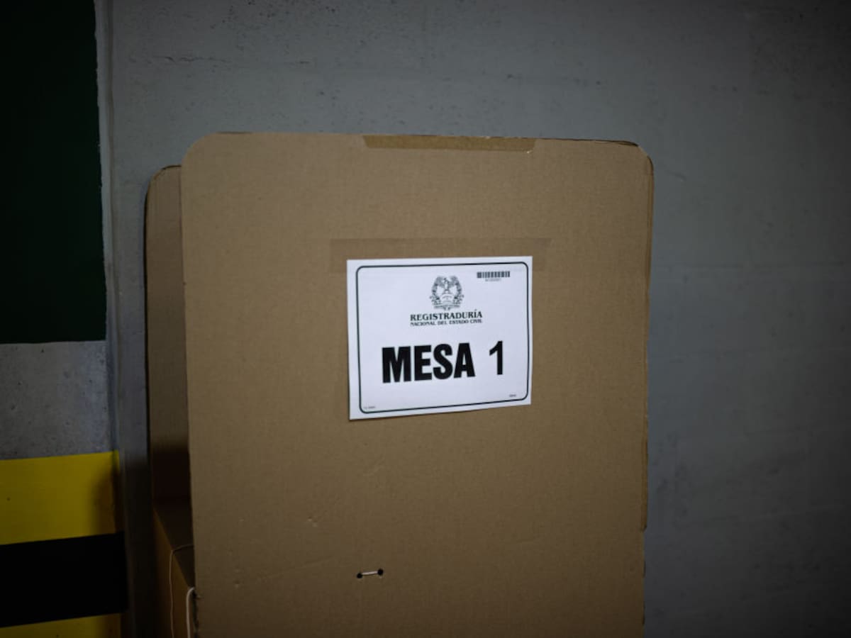 Solo el 10% de jóvenes habilitados votaron en elecciones de consejos municipales y locales de juventud