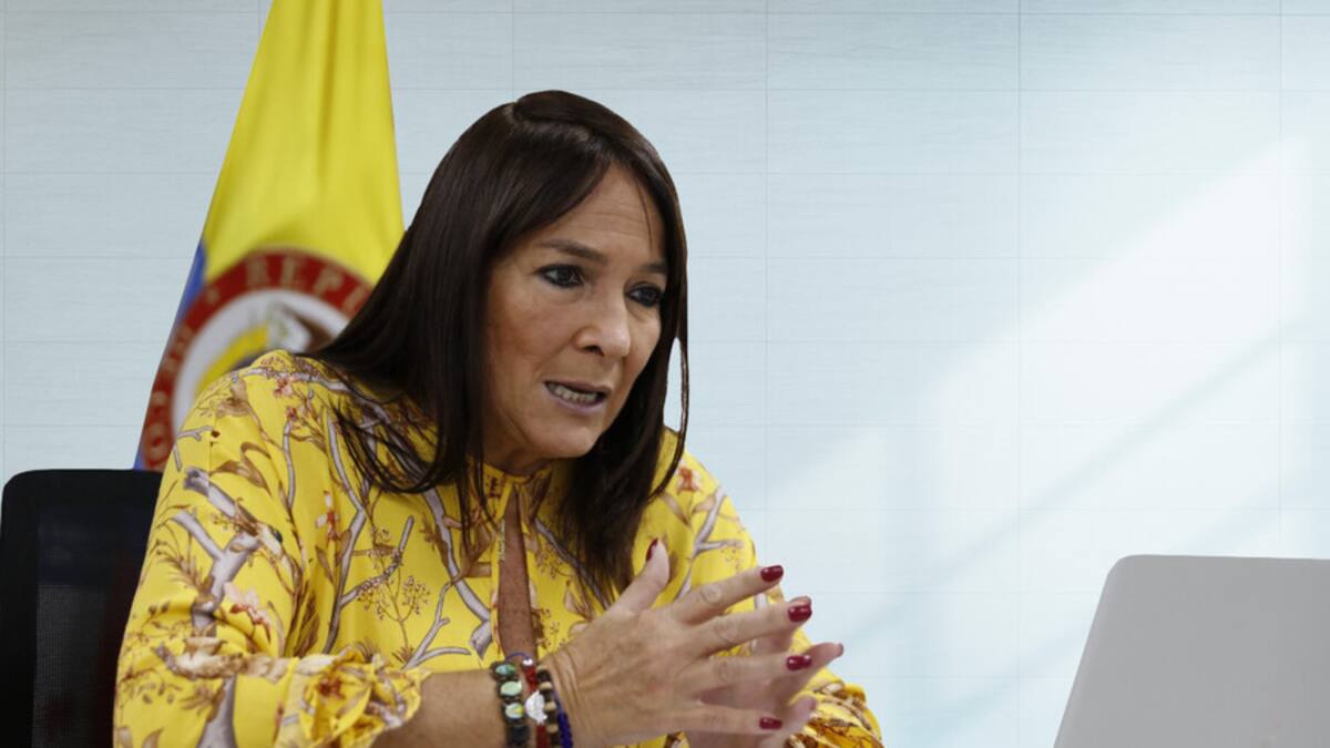 Susana Correa: “330 casas de Providencia costaron más de $600 millones”