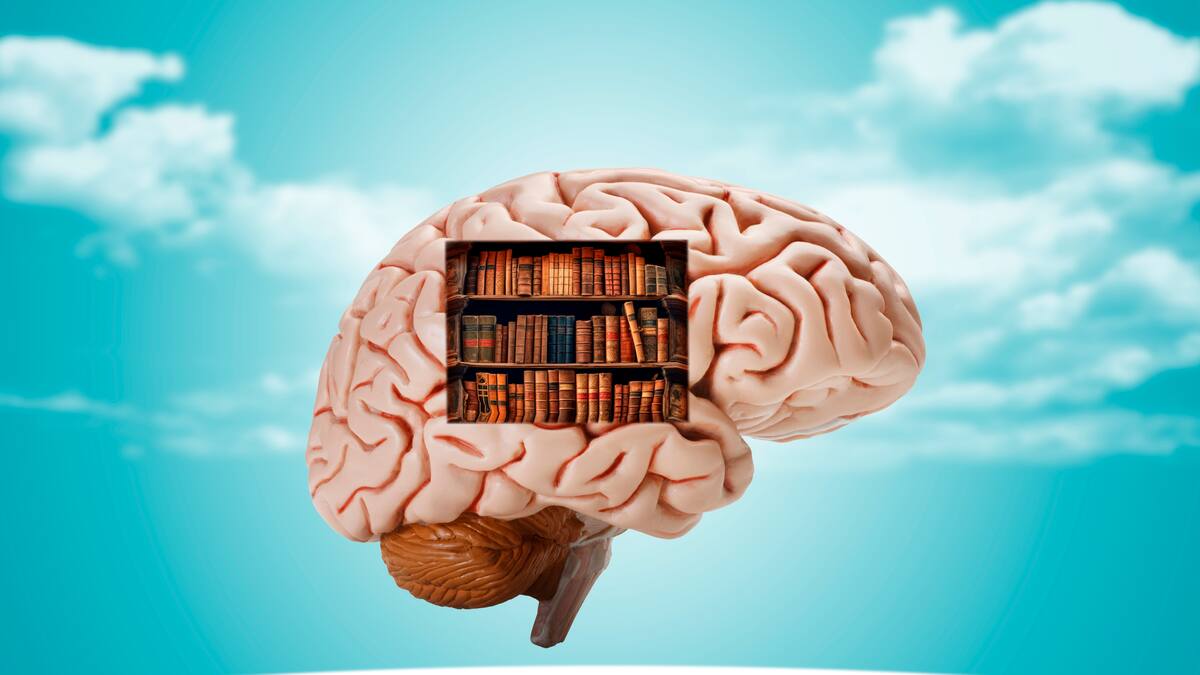 “Los déjà vu son cosas que jamás hemos vivido, el cerebro solo nos quiere engañar”: Neurólogo