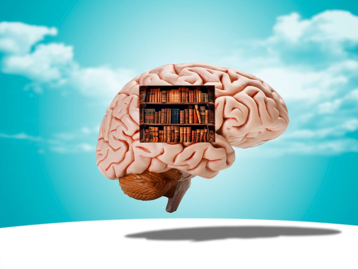 “Los déjà vu son cosas que jamás hemos vivido, el cerebro solo nos quiere engañar”: Neurólogo