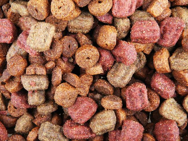 Ante cierre de la Vía Panamericana, alimentos para animales llegarán desde Ecuador