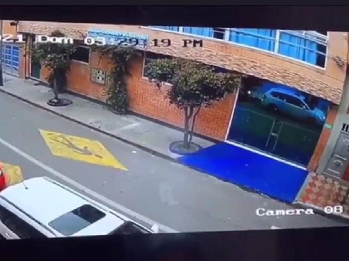 Judicializan a taxista que habría atropellado a un perro y huido del lugar