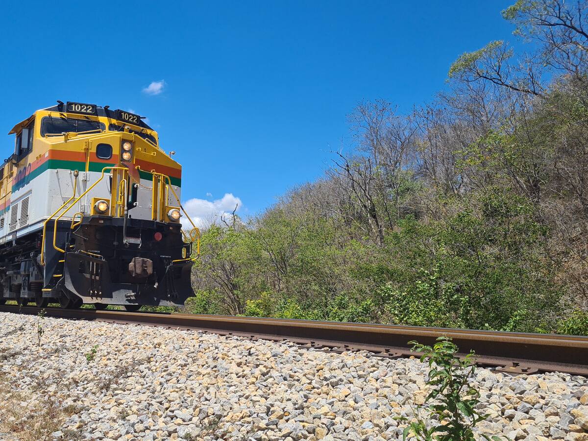 El tren de carga más largo de Sudamérica está en Colombia: ¿Qué transporta? Su longitud de 2.5 KM
