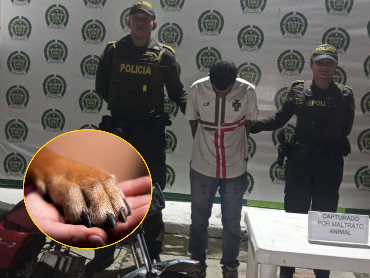 Hombre que golpeó brutalmente a un perro hasta causarle la muerte, fue capturado