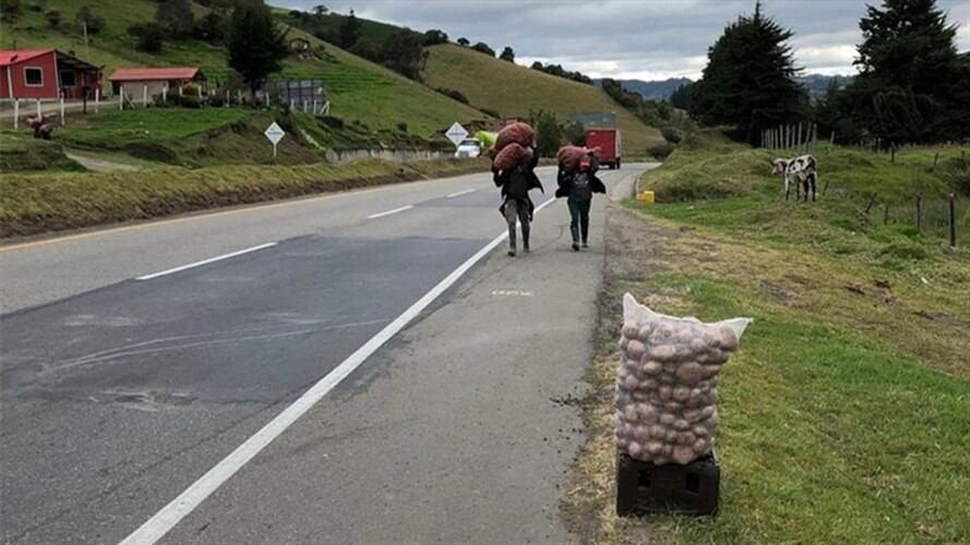 Arias, dijo que los recursos están dispuestos para todos aquellos productores que hicieron la inscripción de manera correcta.. Foto: W