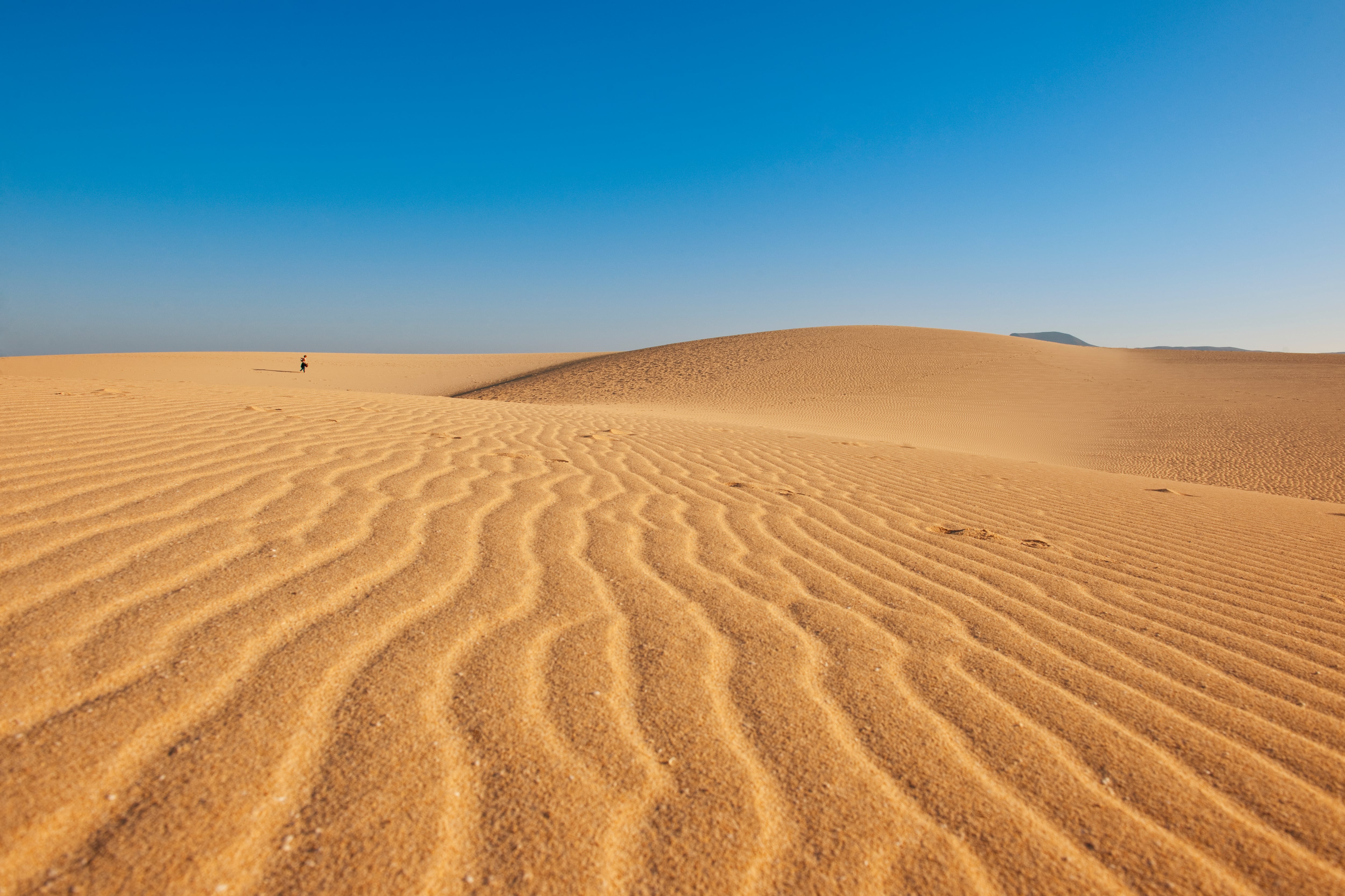 Desierto (GettyImages)