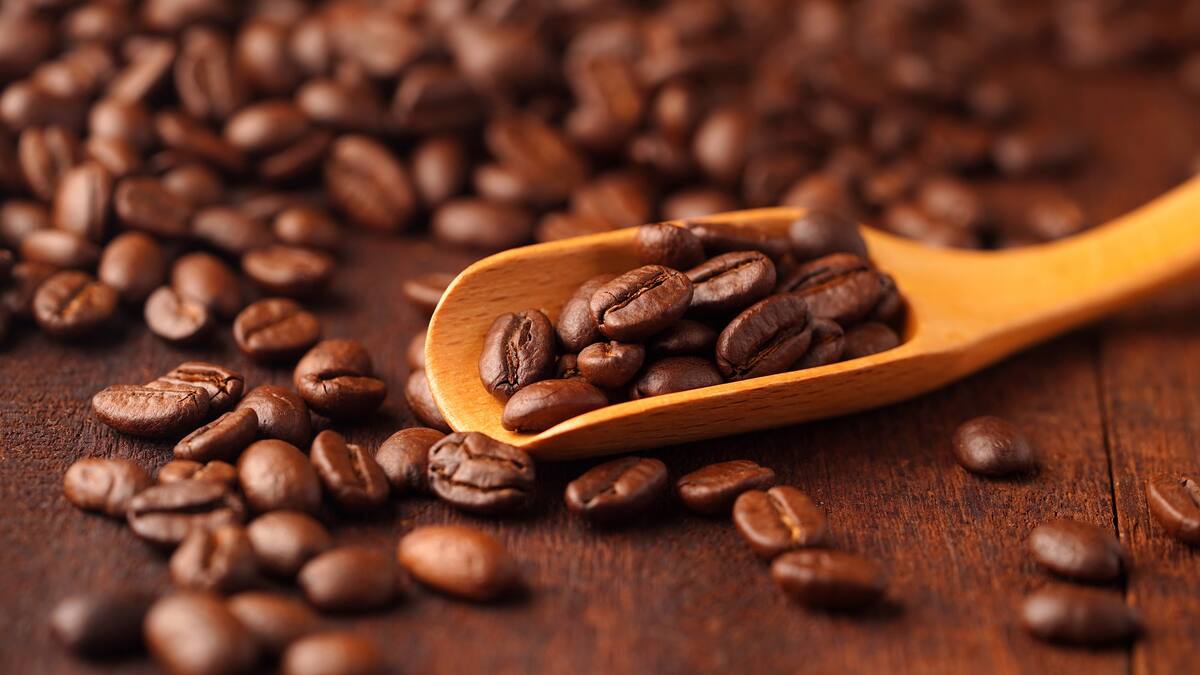 Jardín Café & Alma, el emprendimiento que con residuos de café crea miel y papel