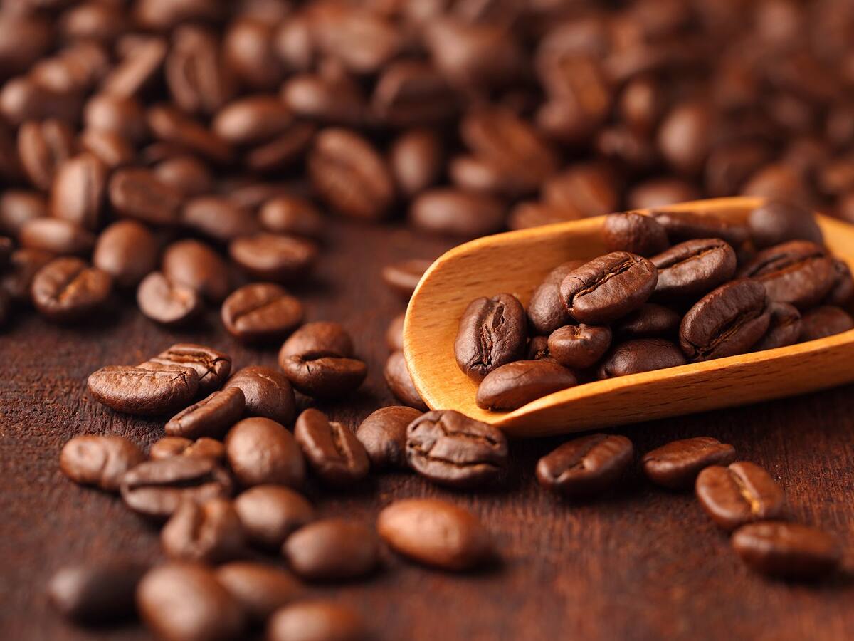 Jardín Café & Alma, el emprendimiento que con residuos de café crea miel y papel