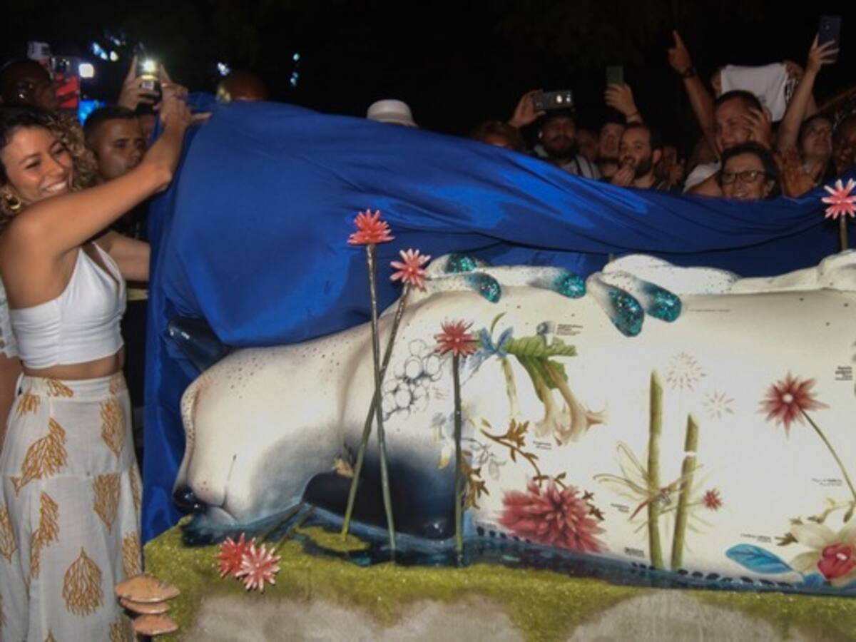 Así fue la creación de la gata Floresmila en el marco de la COP16