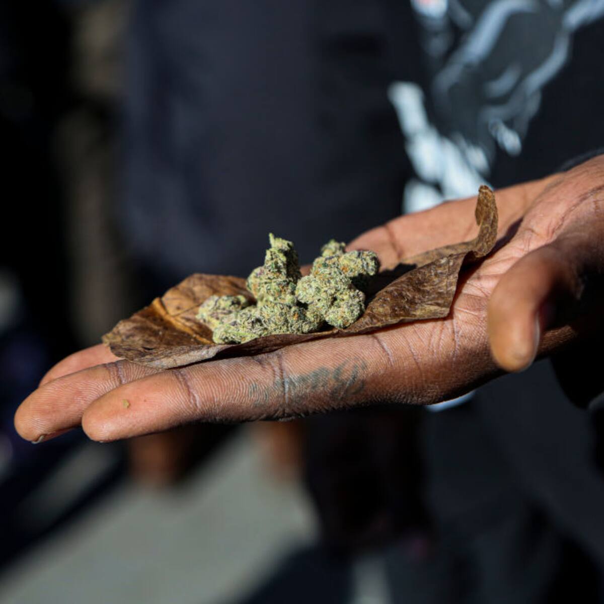 Nueva York tendrá dispensario de marihuana legal para Año Nuevo, ¿cómo funcionará?