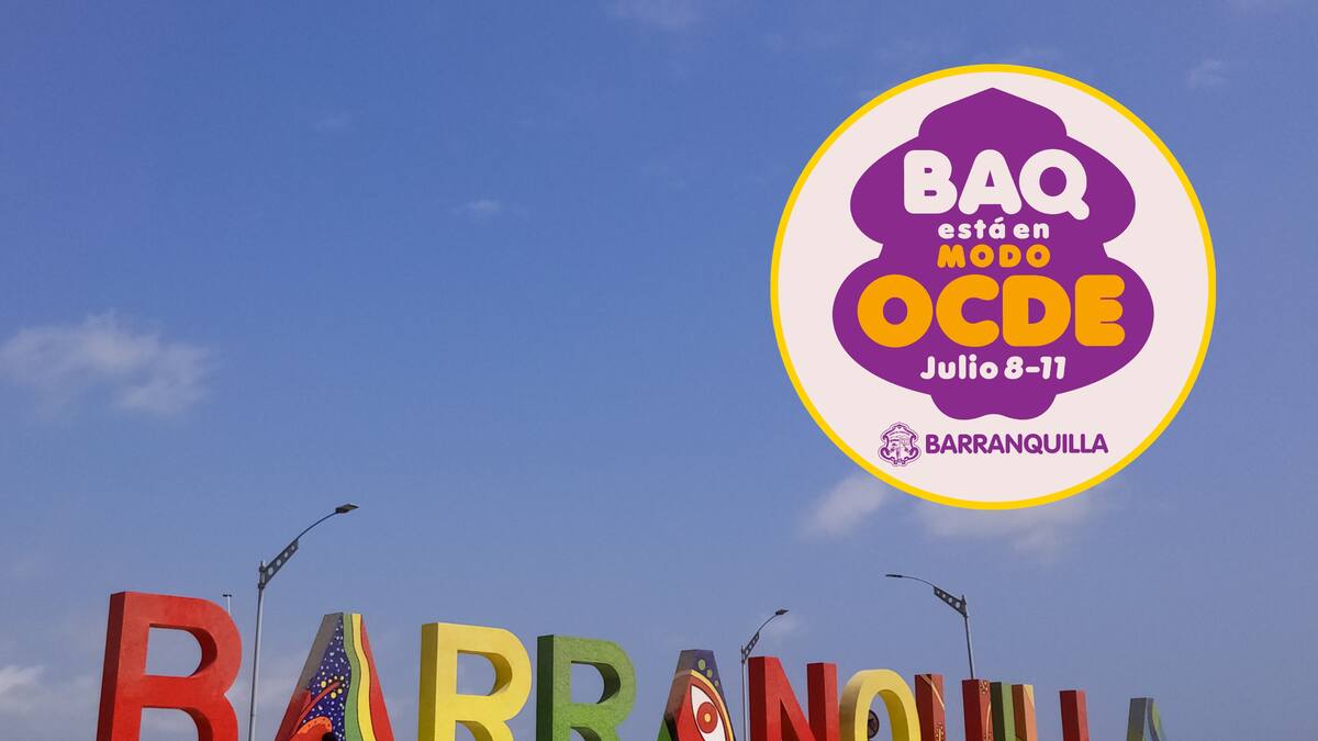 ¿Qué es el Foro de Desarrollo Local de la OCDE?