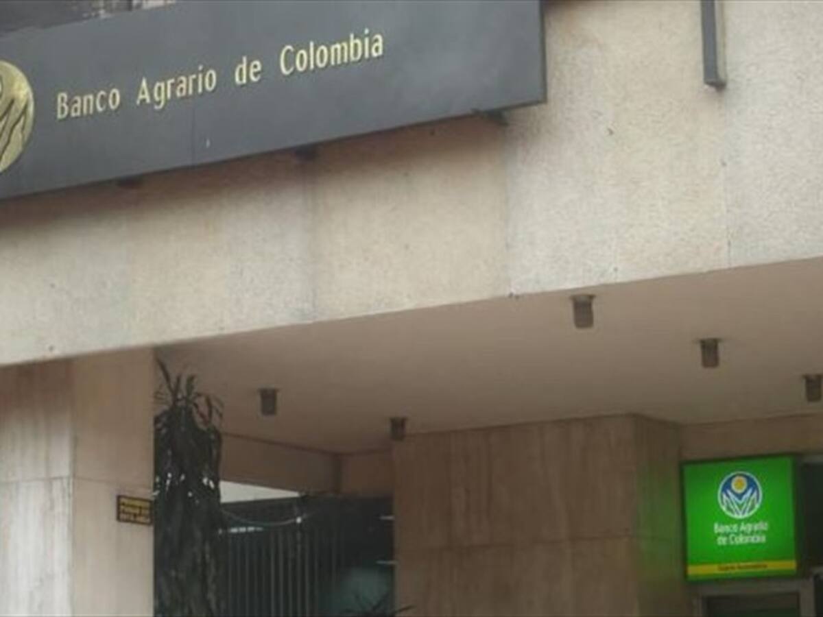 El Banco Agrario reveló la millonaria cifra que el sector le debe a la entidad bancaria