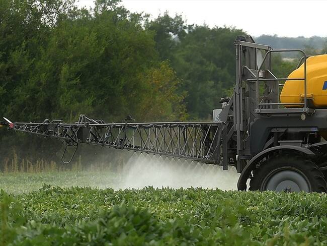 ¿Por qué Bayer afirma que el glifosato es un producto seguro?