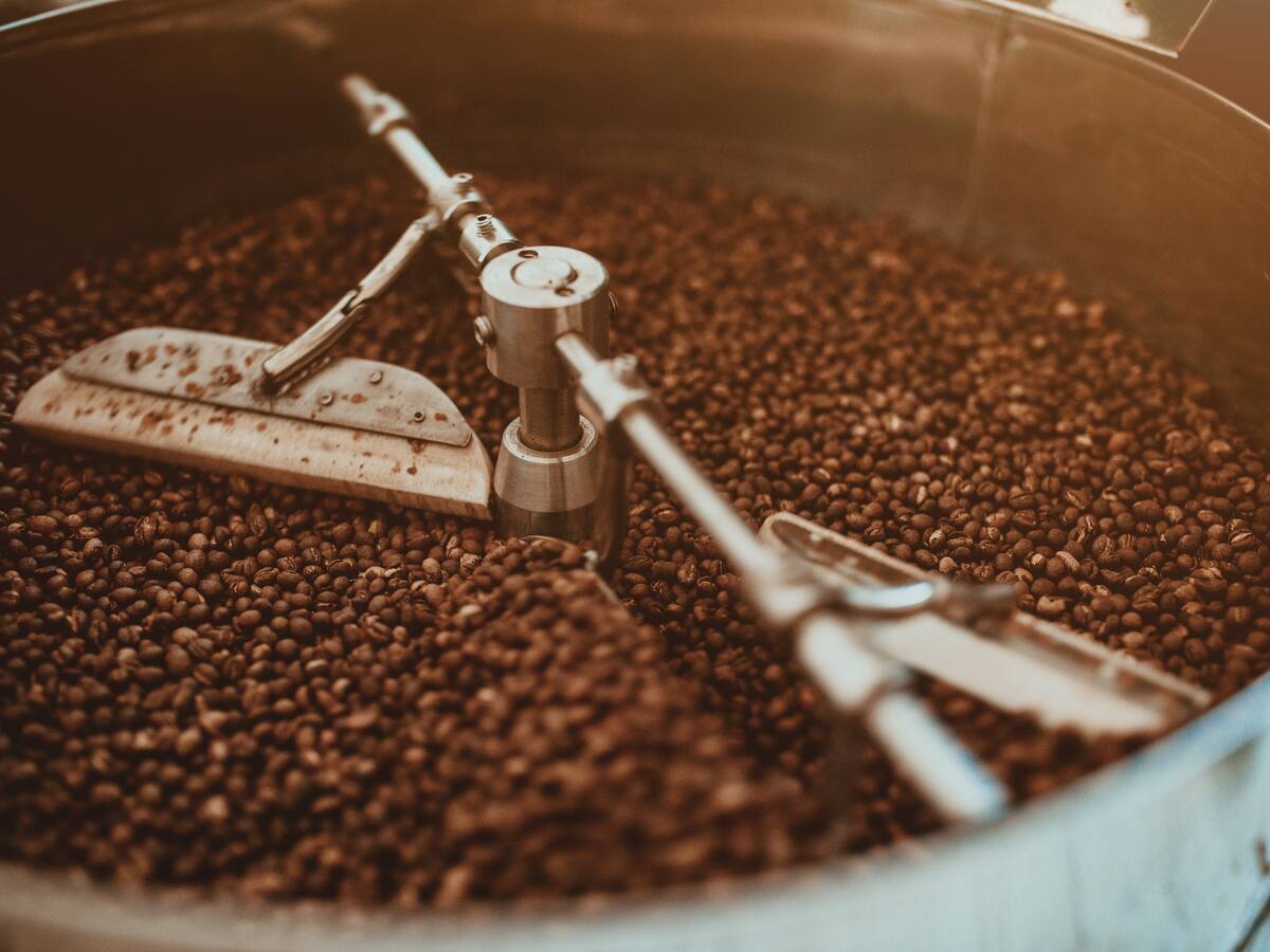 Producción y exportaciones de café cayeron nuevamente en noviembre