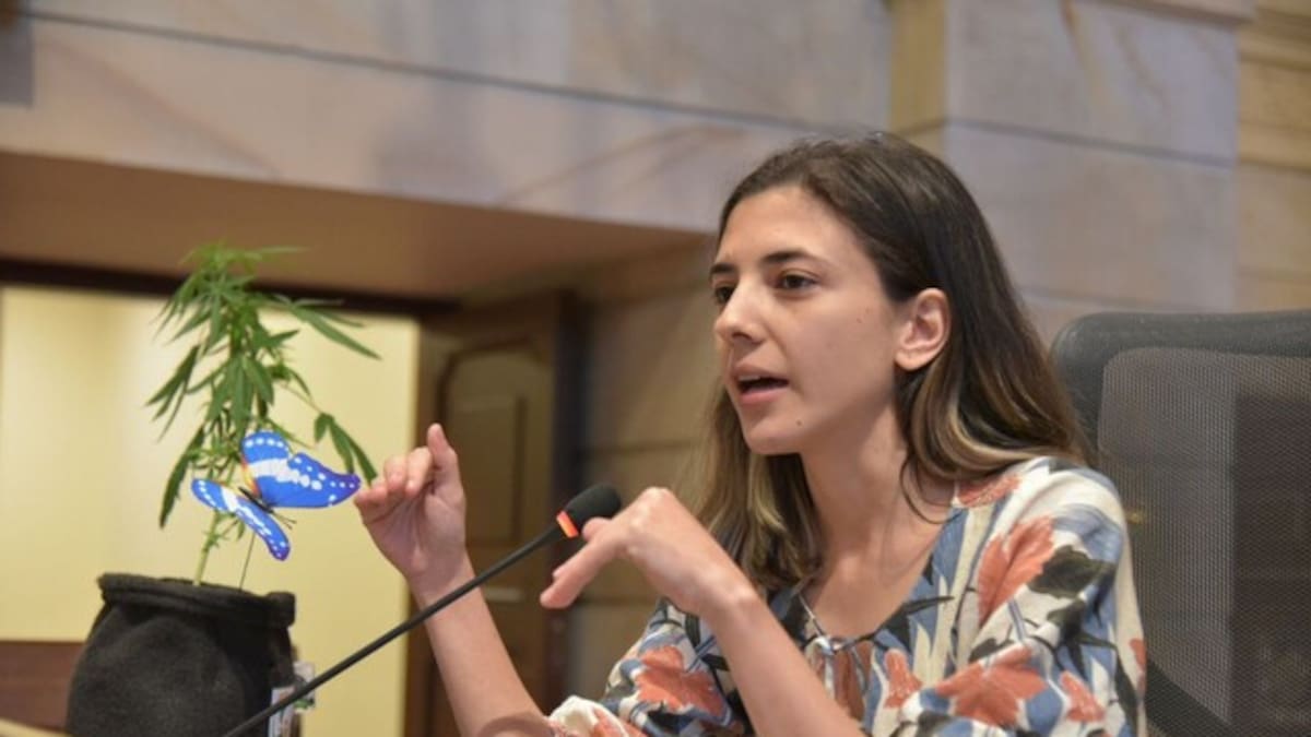 “Obligar a un niño a asistir al colegio es una forma de violencia”: Susana Boreal