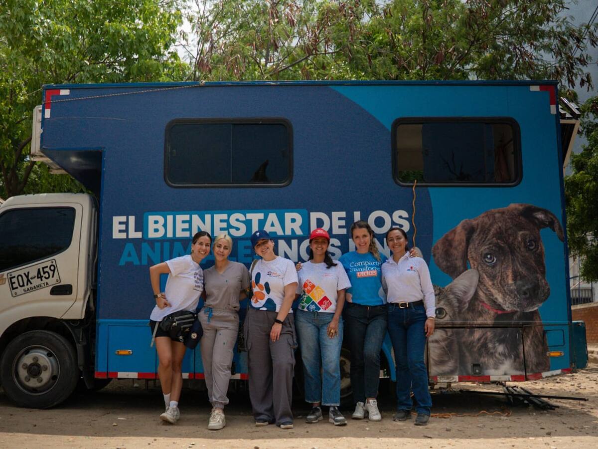 Volar salva vidas: LATAM Airlines Colombia y aliados esterilizan más de 150 animales en Santa Marta