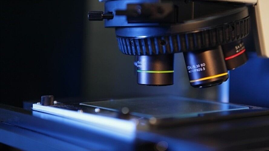 Dos biólogos crearon contenidos digitales donde explican de una manera creativa los principales conceptos científicos. . Foto: Getty Images