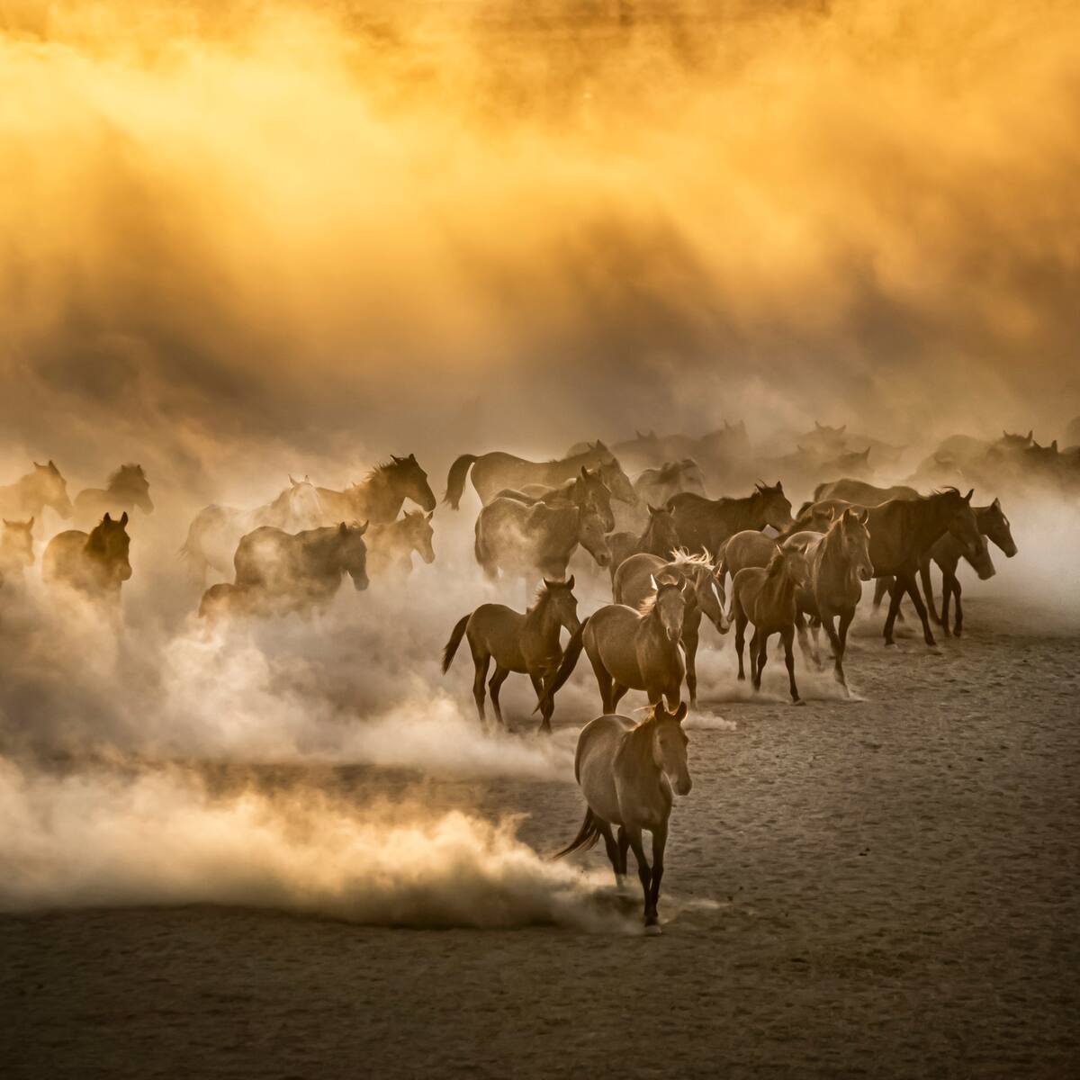 ¿Polvadera o polvareda? Solo hay una forma correcta de decirlo y escribirlo