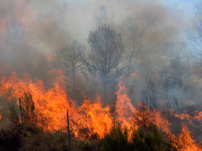 Imagen de referencia de incendio. Foto: Getty Images