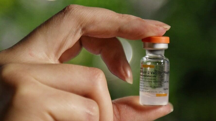 Colados en el Sistema Nacional de Vacunación en el Tolima. Foto: Colprensa