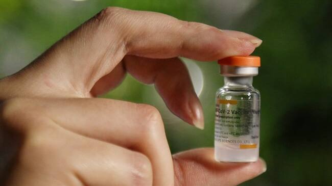 Colados en el Sistema Nacional de Vacunación en el Tolima. Foto: Colprensa