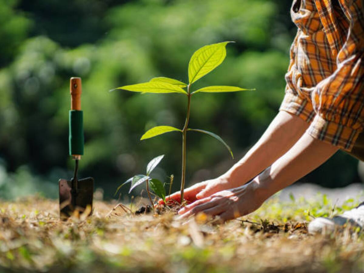 Más de 500 hectáreas de tierra serán entregadas a mujeres en el Magdalena