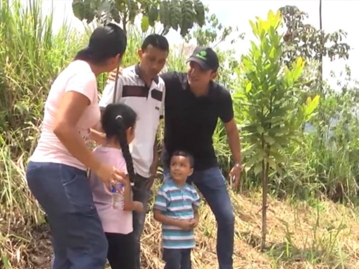 El que planta encanta, Pereira, más árboles para la gente