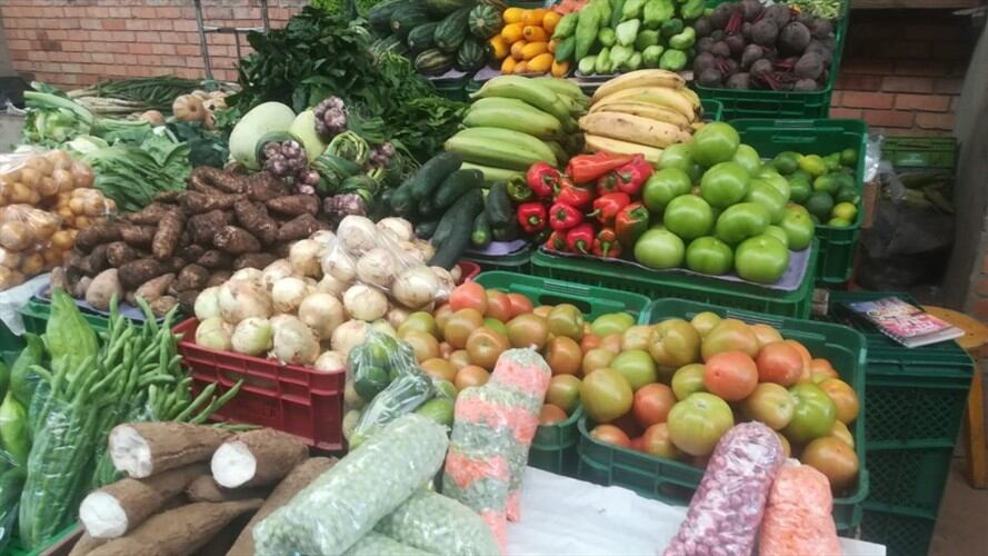 Uniformados de la Policía garantizarán la seguridad durante tres jornadas en las que se espera hacer 200 tomas diarias.. Foto: La W