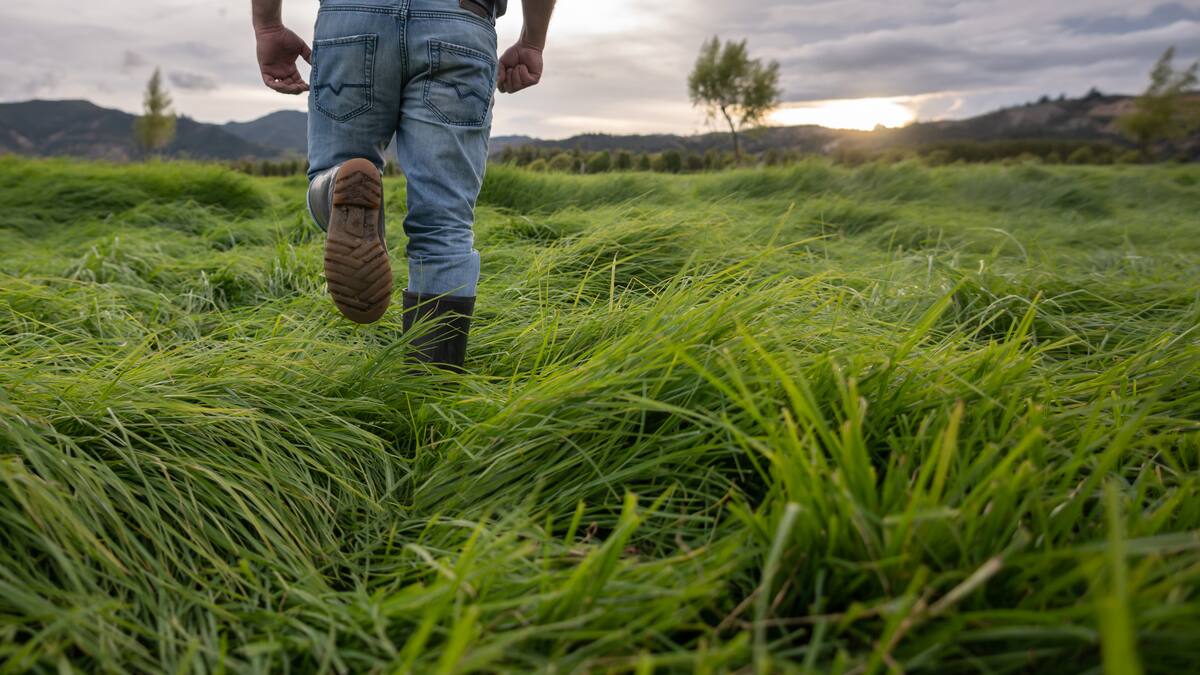 Clave es transformar territorio: negociador con Autodefensas de la Sierra por denuncias de torturas
