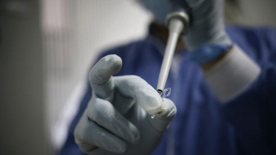 Tan solo cuatro personas portan el virus en Santander. Foto: Getty Images