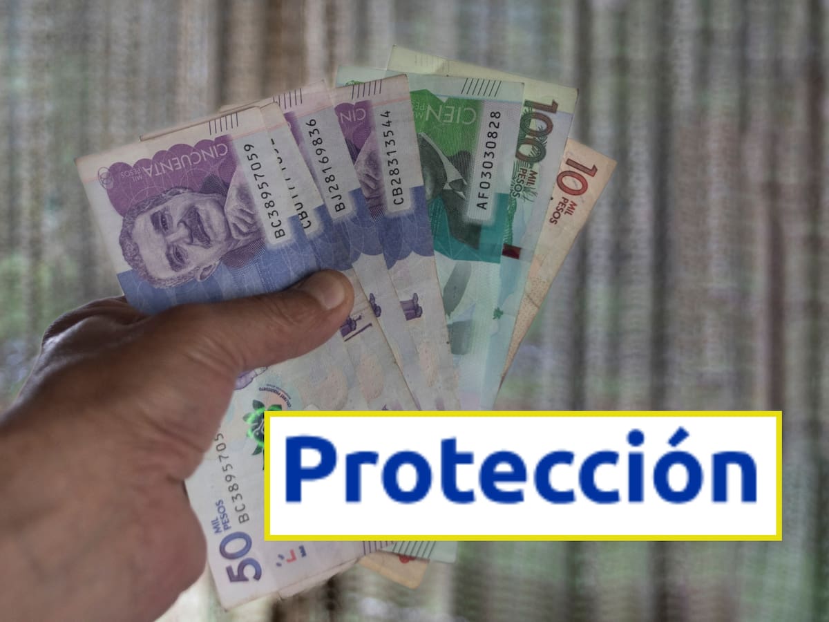 ¿Cómo consultar el saldo de sus cesantías en Protección? Verifíquelo en estos 5 pasos
