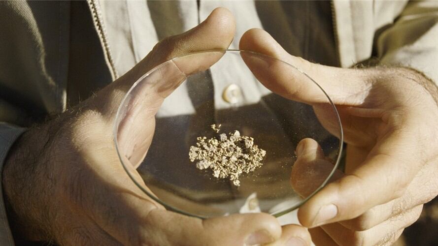 Piden investigar una serie de trámites irregulares que permitieron la expropiación de una mina de oro del corregimiento de Pueblito Mejía. Foto: Getty Images