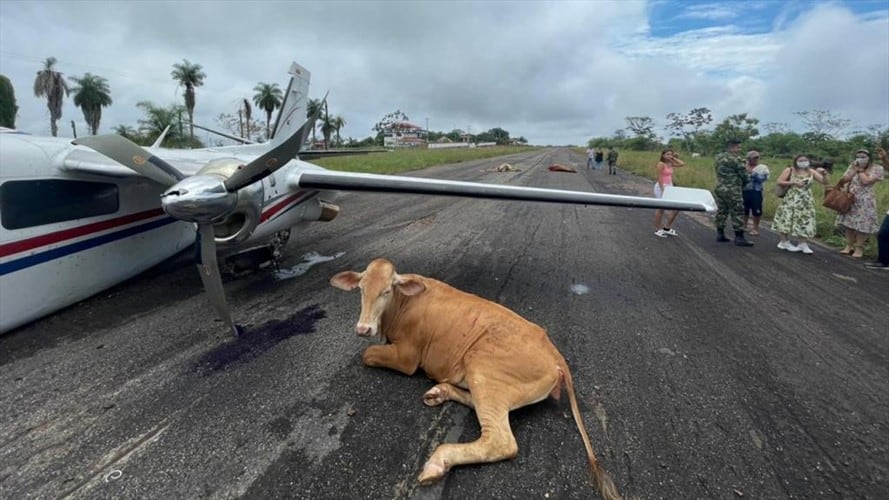 Accidente de una aeronave en Bolívar. Foto: Cortesía Cristian Medina