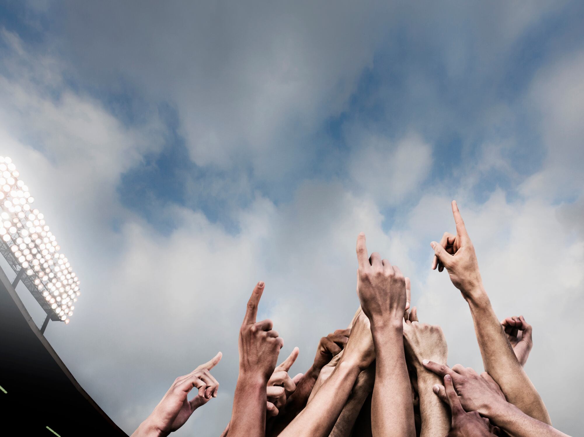 Imagen de referencia.