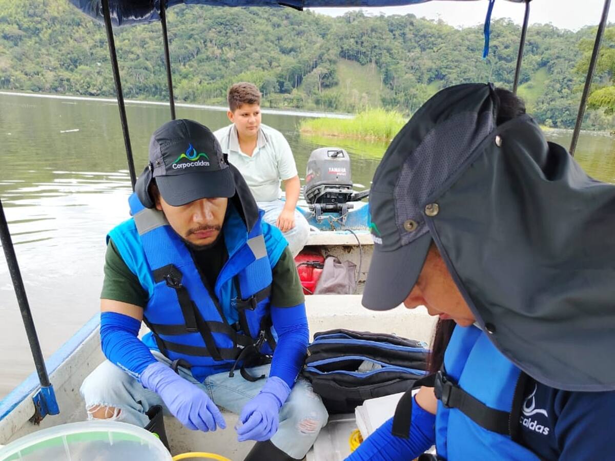 Corpocaldas inicia proceso de investigación por muerte de más de 4 mil peces en Samaná, Caldas