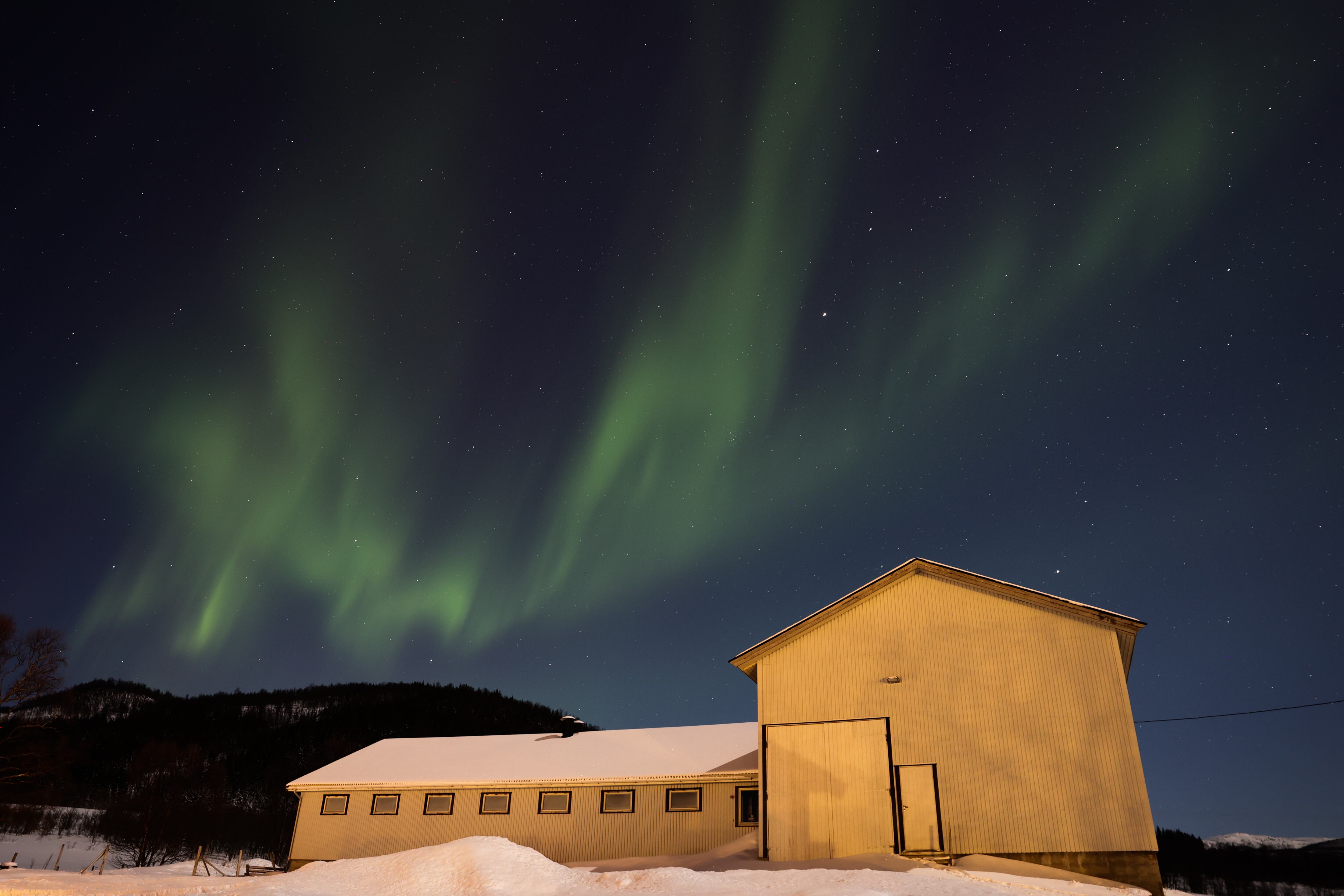Auroras boreales en Noruega. Foto: Jakub Porzycki/Anadolu via Getty Images.