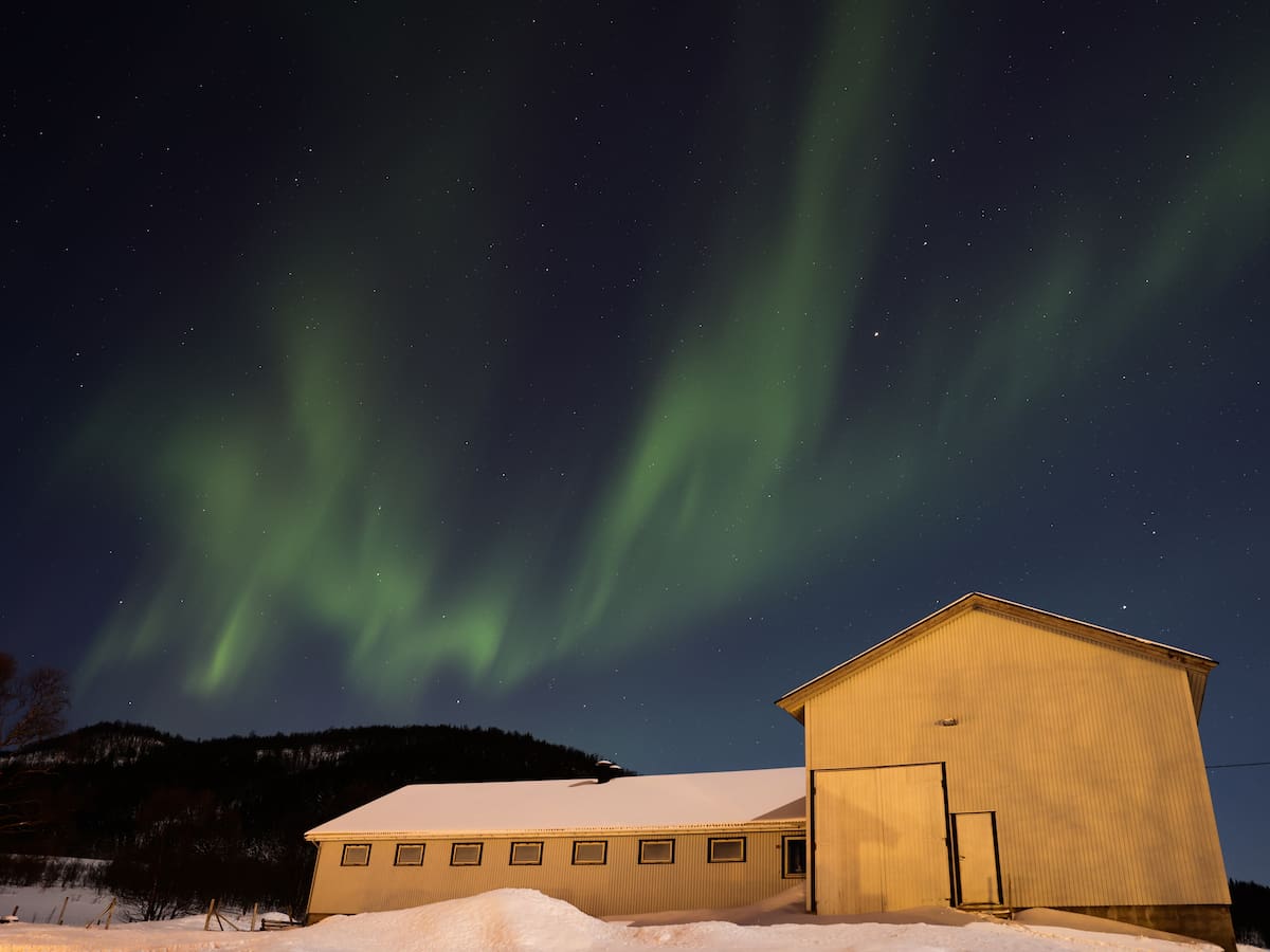 Estos son los requisitos para viajar a Noruega desde Colombia: cuánto dinero y lista de documentos